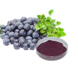 Acai Berry Nutritional 120 Tablets